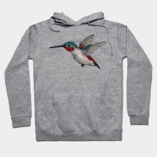 Hummingbird 2 Hoodie